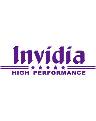 Invidia Cat-back System GT300 Stainless Steel Honda Civic EG Hatch