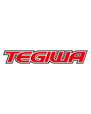Tegiwa Shift Lever Extension – 9cm Stainless Steel for Honda